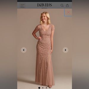 David’s Bridal Oleg Cassini- Mauve
